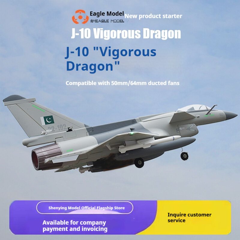 Model Kit Instructions - レイーグルモデルJ 10 ヴィゴラスドラゴン ラジコン固定翼戦闘機 RC飛行機 50mm