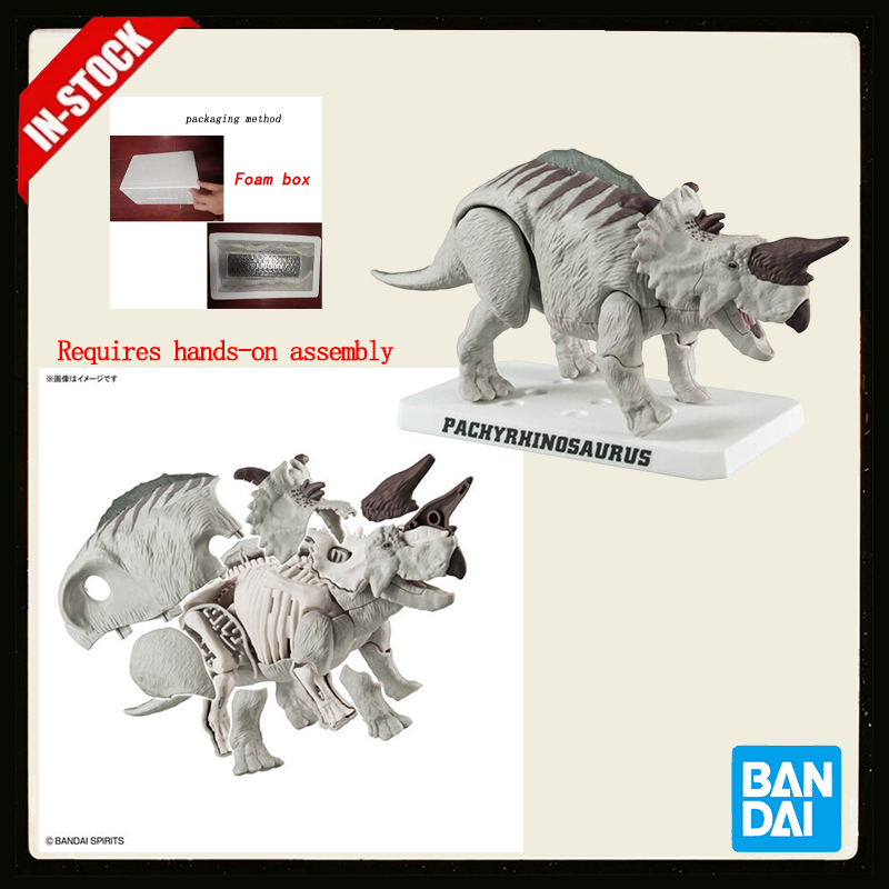 Model Kit Dinosaur Bandai - オリジナルバンダイスピリッツプランノサウルスパキリノサウルス恐竜プラスチックモデルキットアニメフィギュア組立模型玩具在庫あり