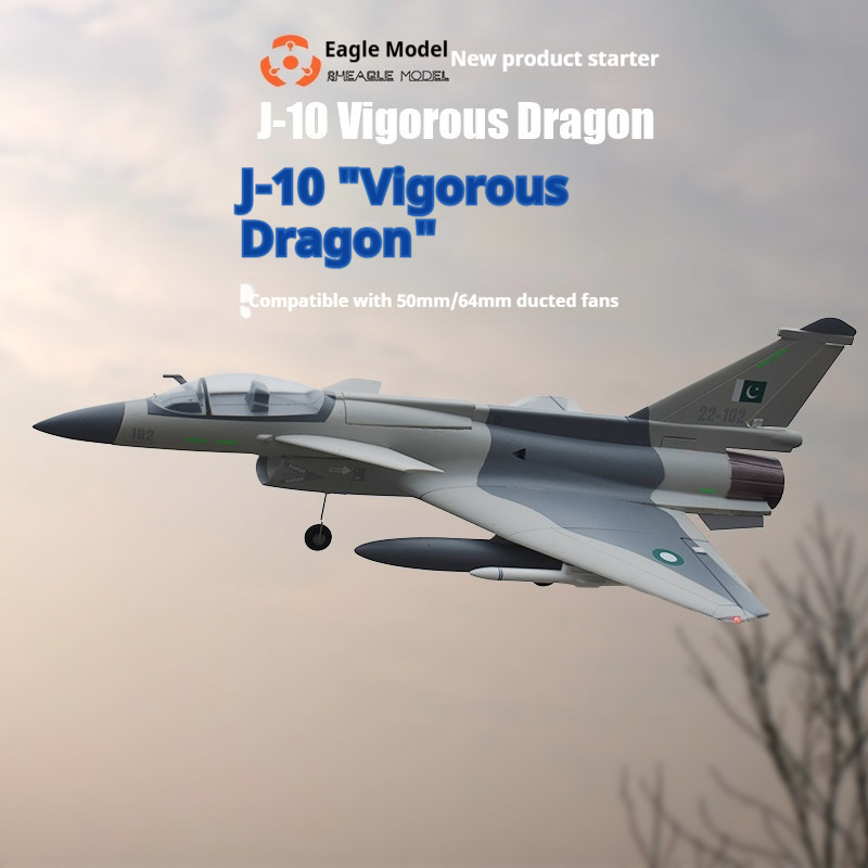 レイーグルモデルJ 10 ヴィゴラスドラゴン ラジコン固定翼 - Model Kit Instructions のレビューと価格