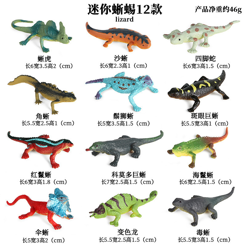 恐竜のおもちゃ,昆虫,砂,水槽の装飾を備えた動物のデザインの - Model Kit Dinosaur Bandai のレビューと価格