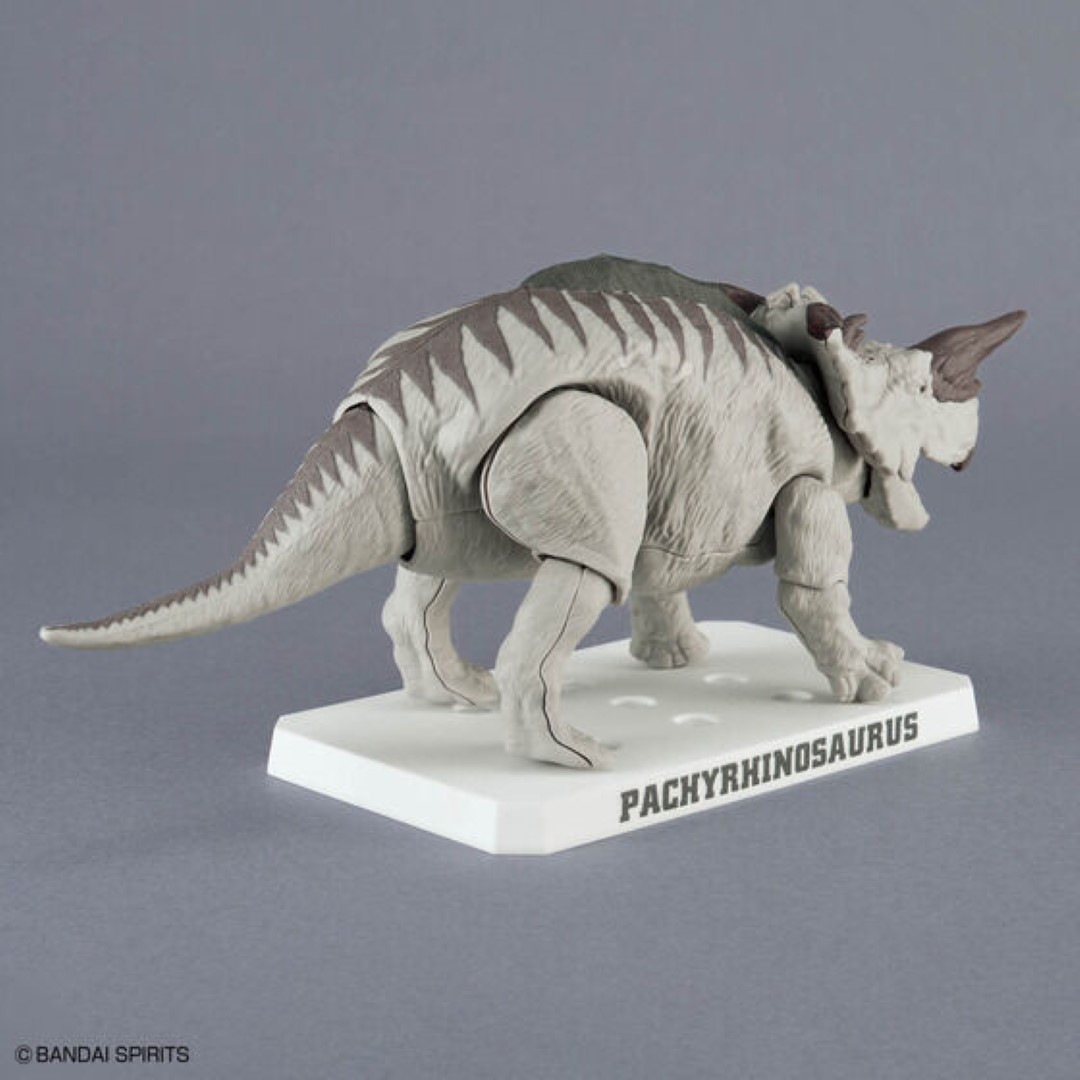 オリジナルバンダイスピリッツプランノサウルスパキリノサウルス - Model Kit Dinosaur Bandai のレビューと価格